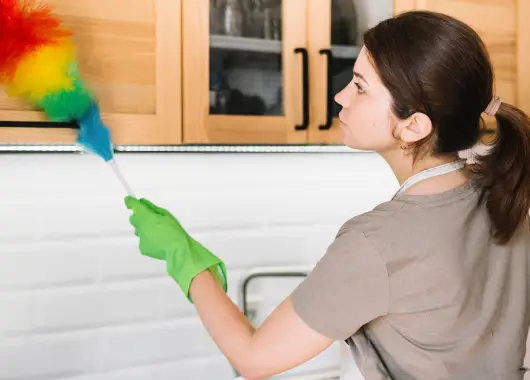 Professional Home Cleaning Services for a Spotless Space
