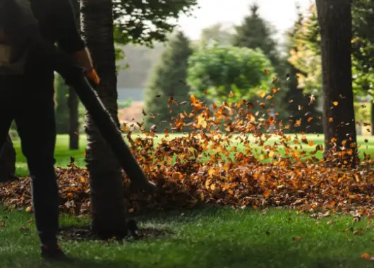 Professional Landscaping Services for Beautiful Outdoor Spaces