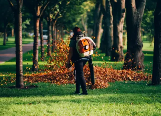 Professional Landscaping Services for Beautiful Outdoor Spaces