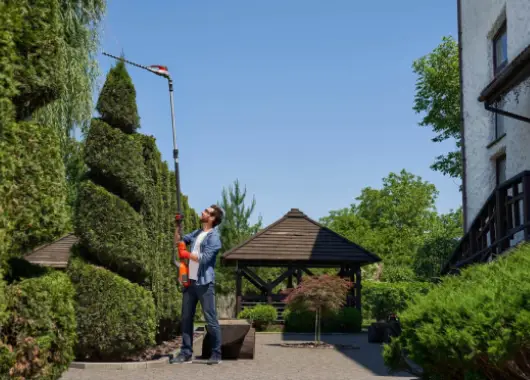 Professional Landscaping Services for Beautiful Outdoor Spaces