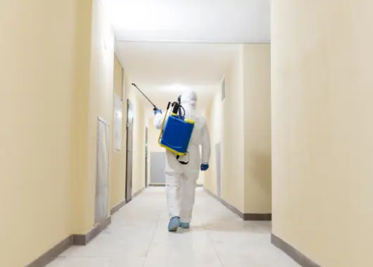 Comprehensive Pest Control for a Safe, Pest-Free Home
